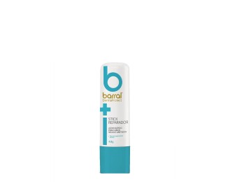 Barral DermaProtect Lip Repair Stick 4,8g