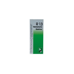 Dr. Reckeweg R13 50ml
