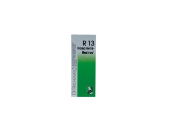 Dr. Reckeweg R13 50ml