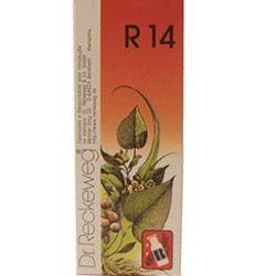 Dr. Reckeweg R14