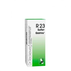 Dr Reckeweg R23 Oral Drops 50ml