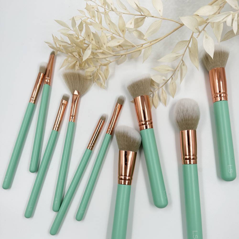 LS Set of 10 Makeup Brushes