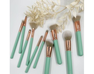 LS Set of 10 Makeup Brushes
