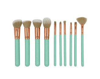 LS Set of 10 Makeup Brushes