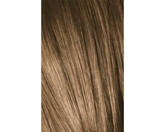 Schwarzkopf Igora Royal 8-00 Natural Light Laurel Extra 60ml + Oxidant 20V