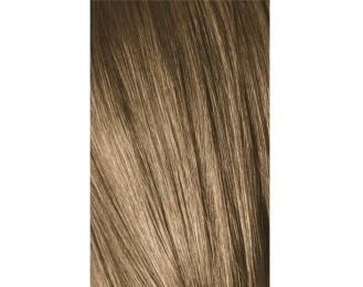 Schwarzkopf Igora Royal 8-0 Light Laurel 60ml + Oxidant 20V
