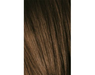 Schwarzkopf Igora Royal 6-00 Natural Dark Laurel Extra 60ml + Oxidant 20V