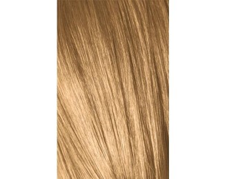 Schwarzkopf Igora Royal 9-55 Extra Light Golden Laurel Extra 60ml + Oxidant 20V